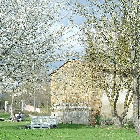 La Valle Di Monna Lisa Bed & Breakfast